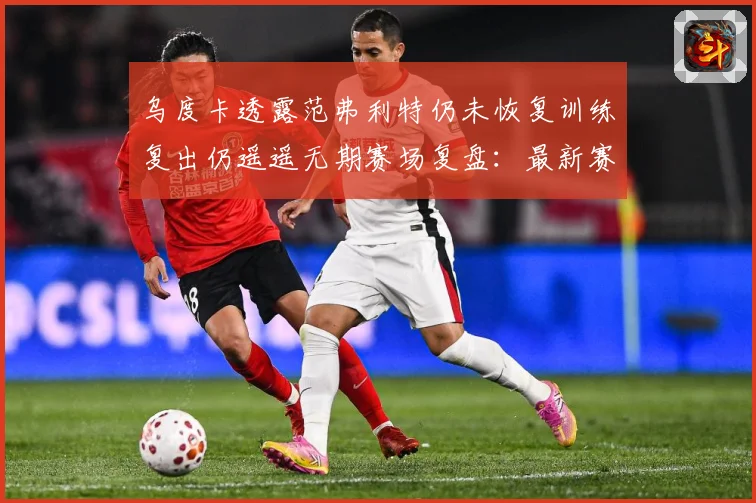 乌度卡透露范弗利特仍未恢复训练复出仍遥遥无期赛场复盘：最新赛事动态与深度分析