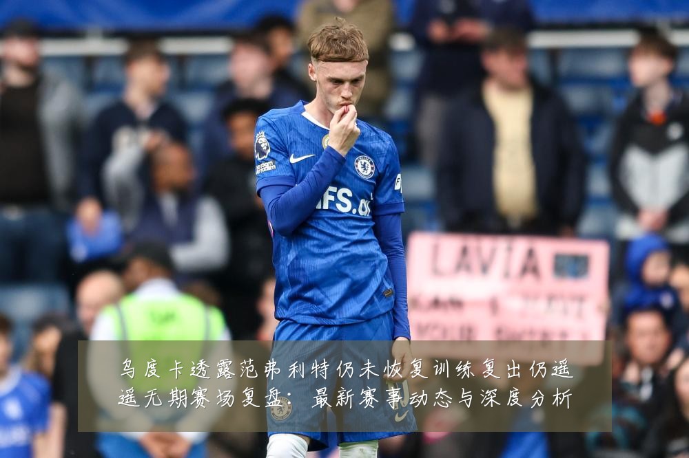 乌度卡透露范弗利特仍未恢复训练复出仍遥遥无期赛场复盘：最新赛事动态与深度分析